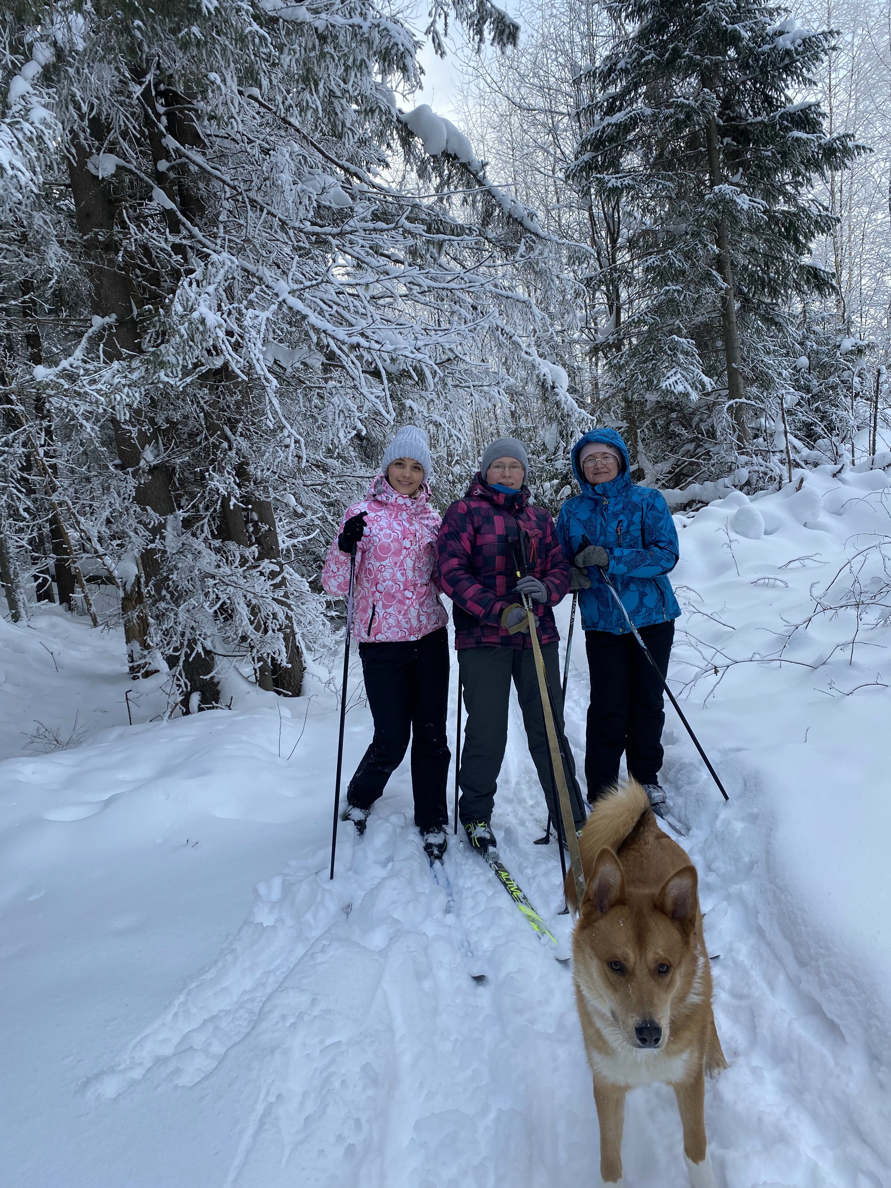 Ярусова Елена Владимировна